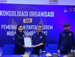 Rohmi Resmi Mundur Dari Ketua DPW Nasdem NTB, Surya Paloh Tunjuk Willy Aditya