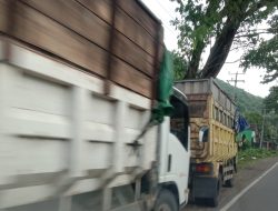 Ancam Keselamatan Pengguna Jalan, Masyarakat Desak Dishub dan Kepolisian Stop Pengangkutan Batu Bara PT Elang