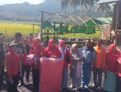 Hj Hanipah Miliki Kepedulian Tinggi, Dari Air Bersih Hingga Bantu Korban Kebakaran