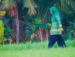 Strategi Pertahankan NTB Lumbung Pangan Bumi Gora Ala Jilbab Ijo