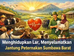Menghidupkan Lar, Menyelamatkan Jantung Peternakan Sumbawa Barat