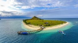 Savana Ikon Wisata Pulau Kenawa Sumbawa Barat Hangus Dilalap Api
